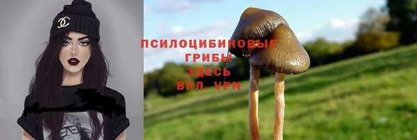 спайс Волоколамск