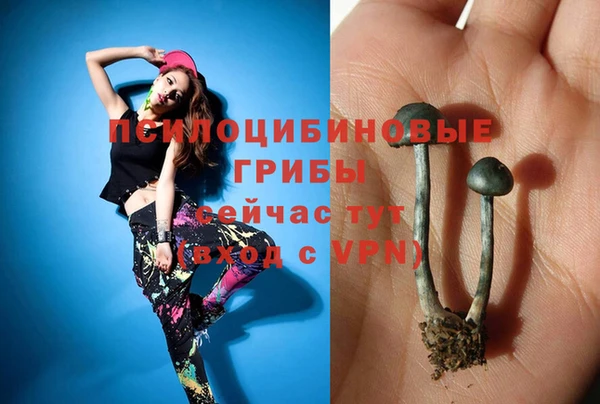 jwh Володарск