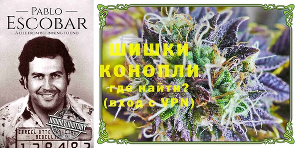 ешки Верея