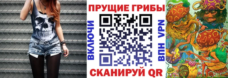 Псилоцибиновые грибы Psilocybe  Гдов 